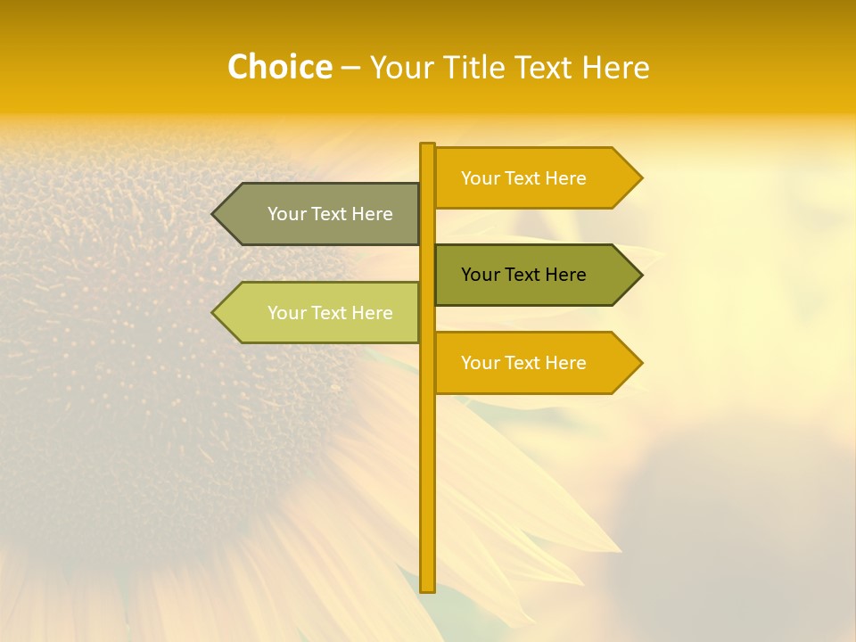 Flower Nature Blooming PowerPoint Template