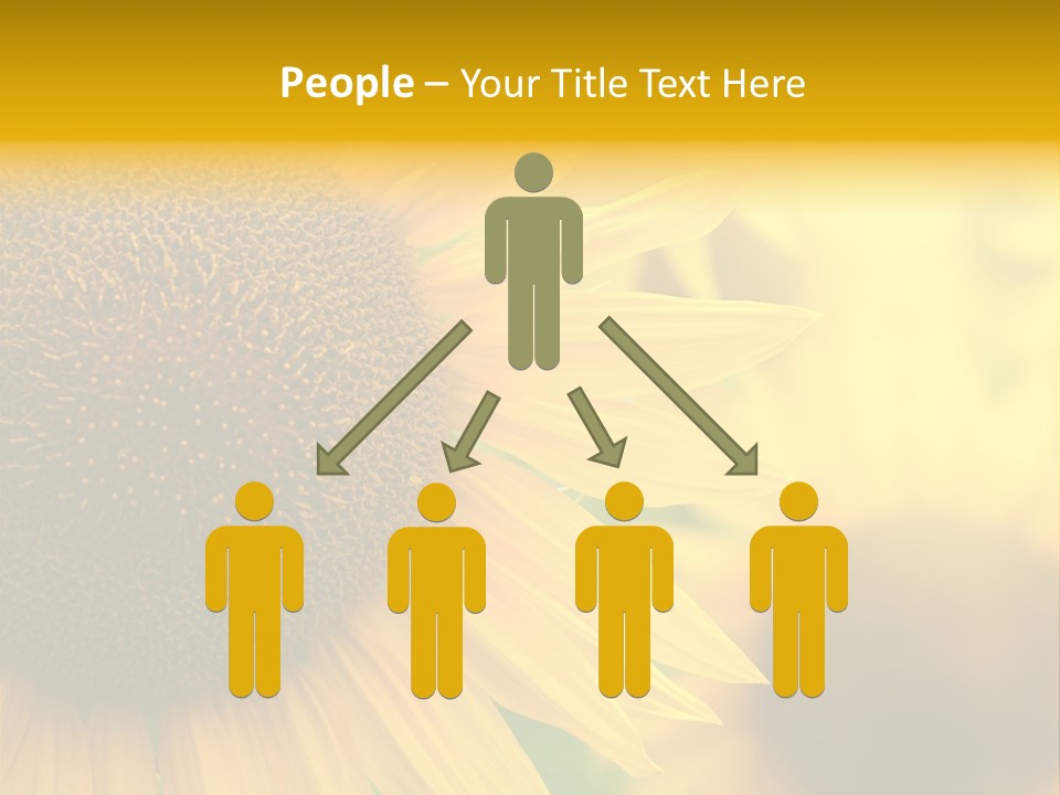 Flower Nature Blooming PowerPoint Template