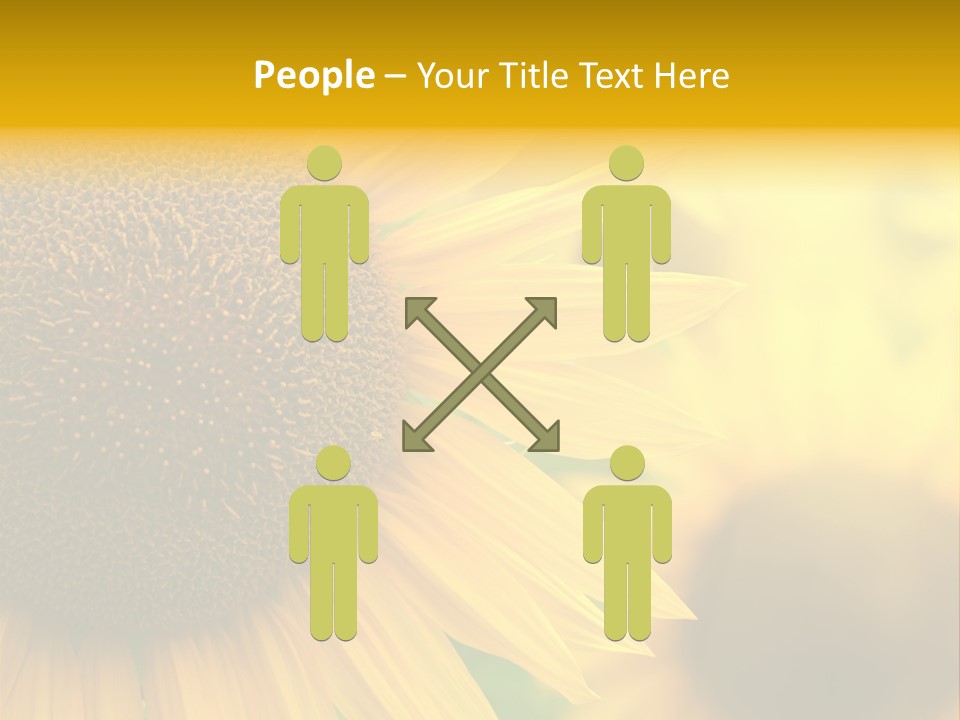 Flower Nature Blooming PowerPoint Template