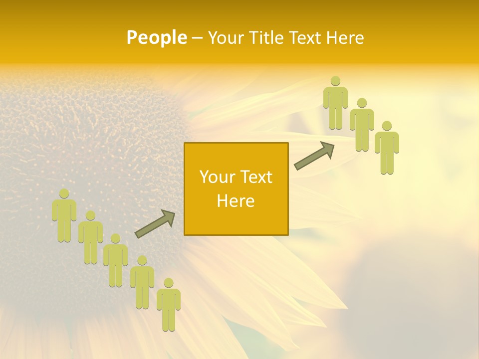 Flower Nature Blooming PowerPoint Template