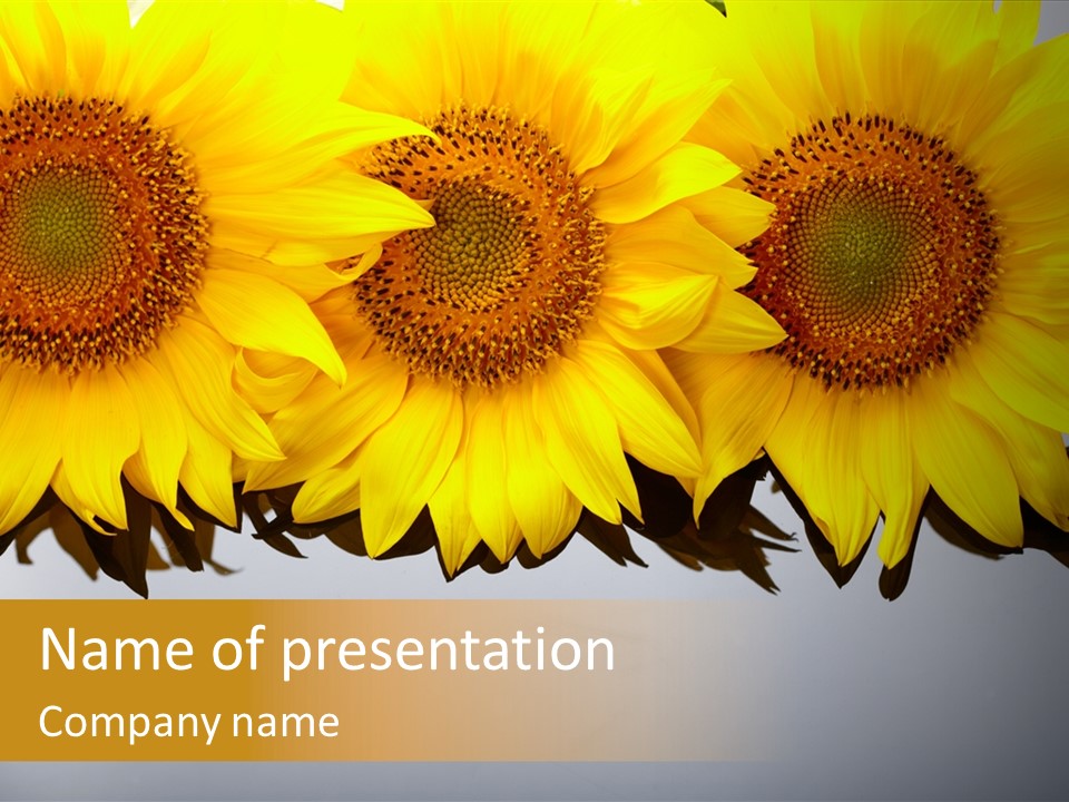 Ocasion Especial Lectura Flores PowerPoint Template