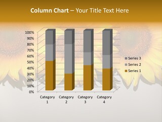 Ocasion Especial Lectura Flores PowerPoint Template