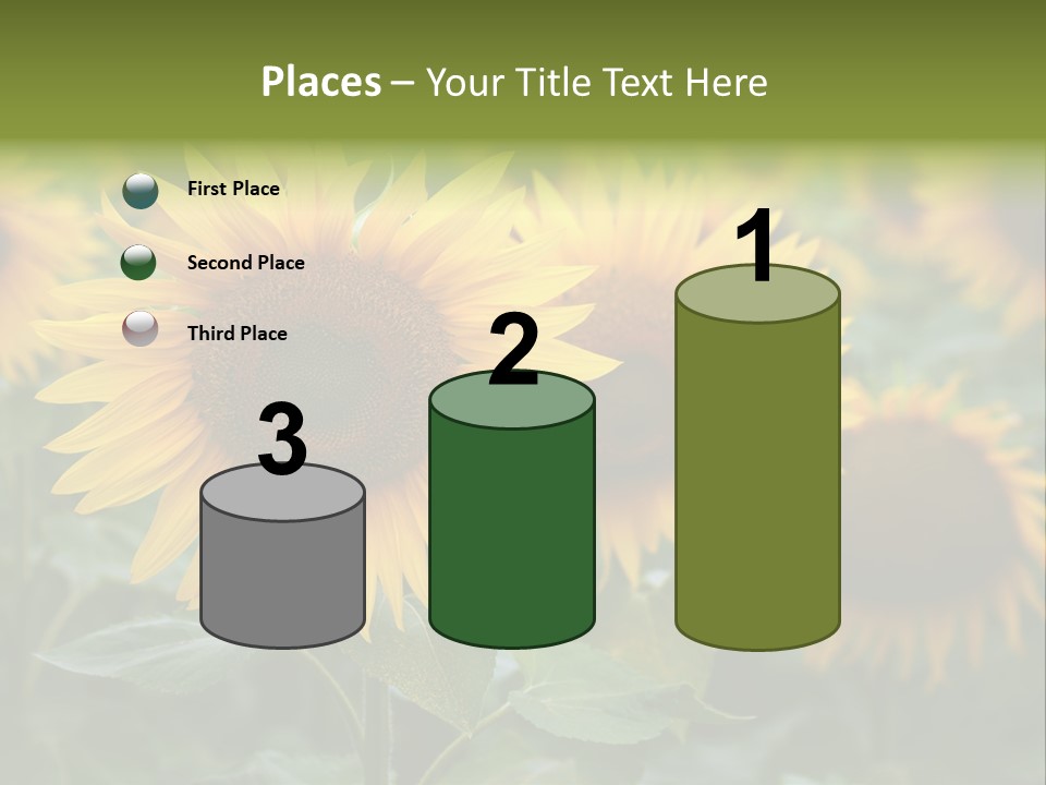 Pasion De Febrero Literatura PowerPoint Template