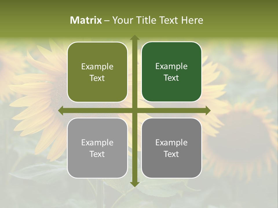 Pasion De Febrero Literatura PowerPoint Template