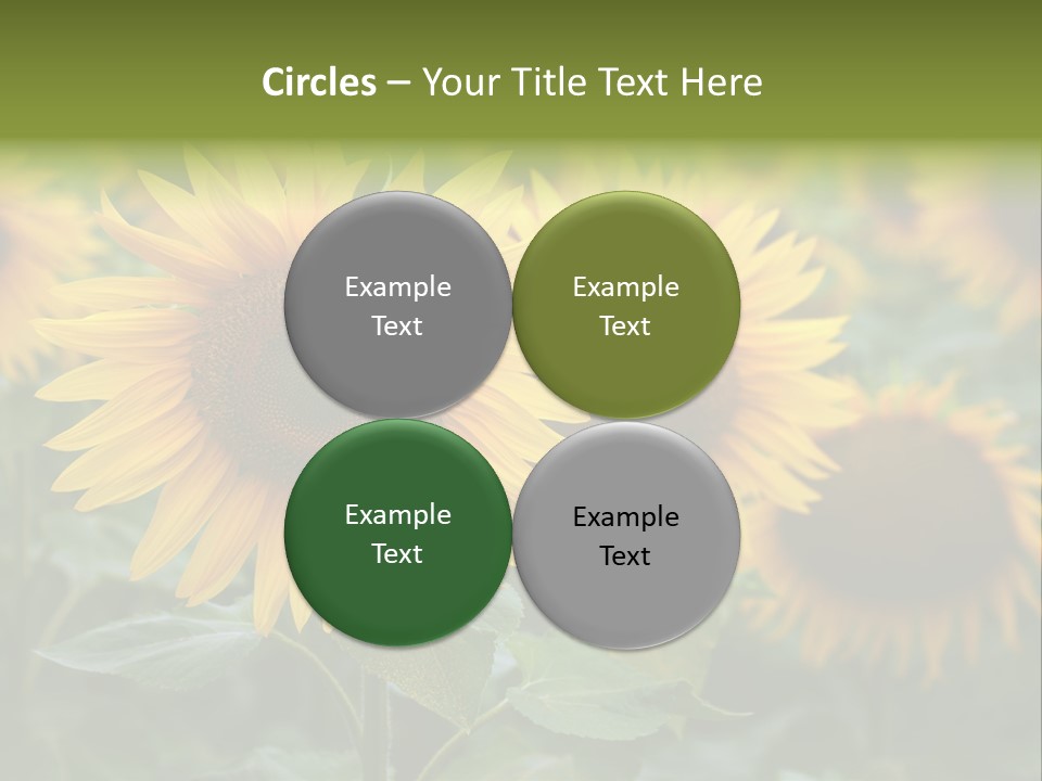 Pasion De Febrero Literatura PowerPoint Template