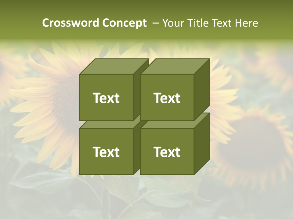 Pasion De Febrero Literatura PowerPoint Template