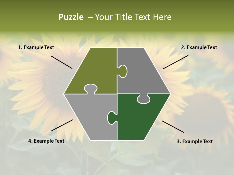 Pasion De Febrero Literatura PowerPoint Template