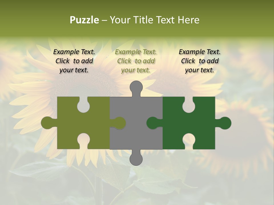 Pasion De Febrero Literatura PowerPoint Template