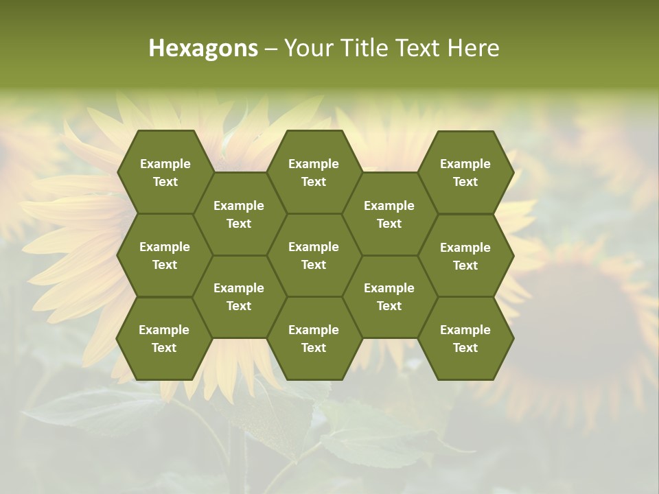 Pasion De Febrero Literatura PowerPoint Template