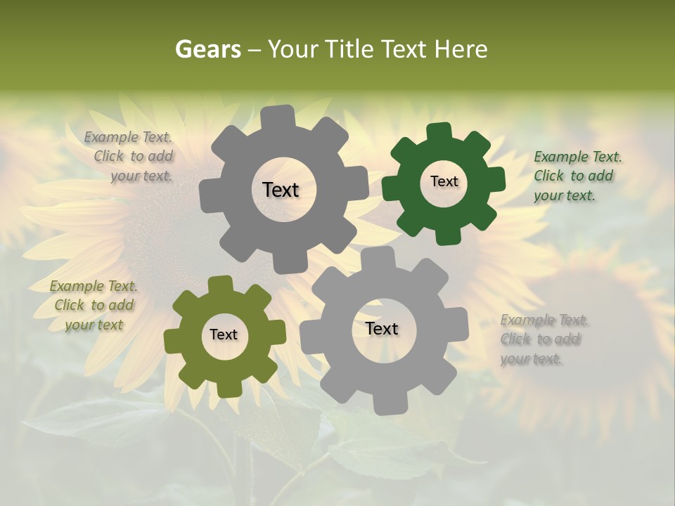 Pasion De Febrero Literatura PowerPoint Template