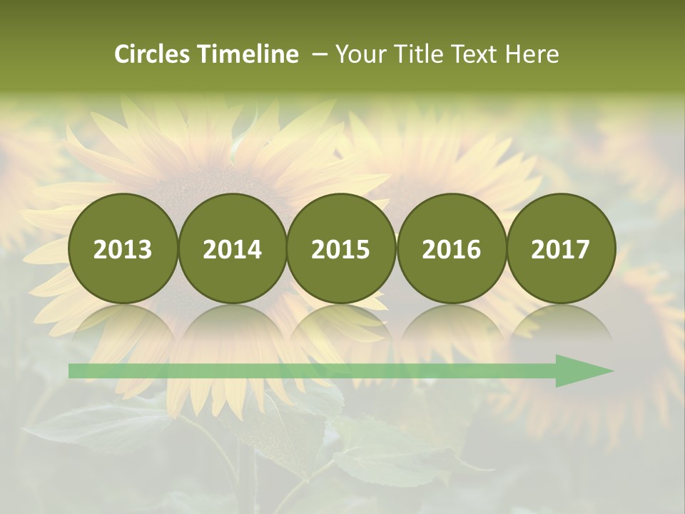 Pasion De Febrero Literatura PowerPoint Template