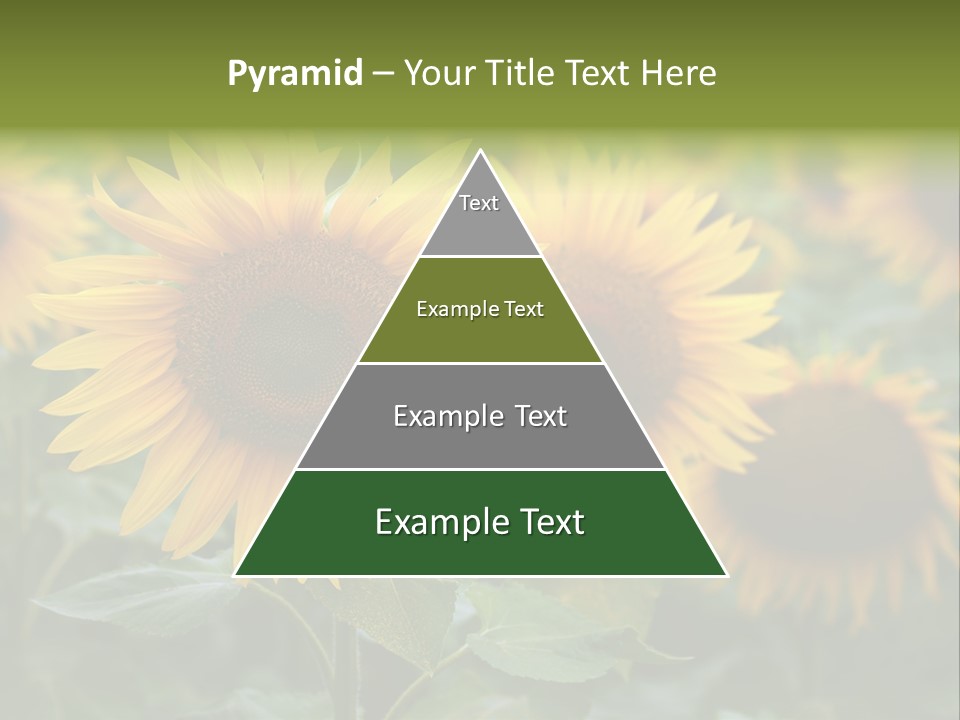 Pasion De Febrero Literatura PowerPoint Template