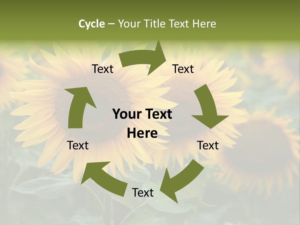 Pasion De Febrero Literatura PowerPoint Template