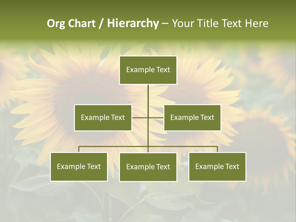 Pasion De Febrero Literatura PowerPoint Template