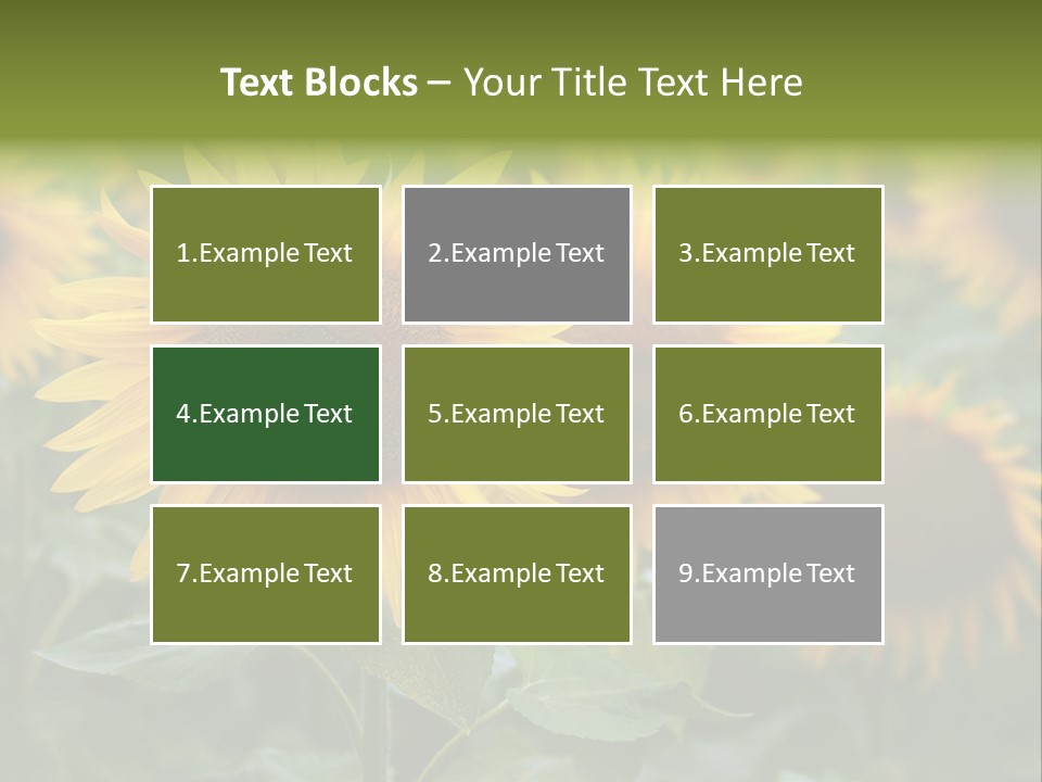 Pasion De Febrero Literatura PowerPoint Template