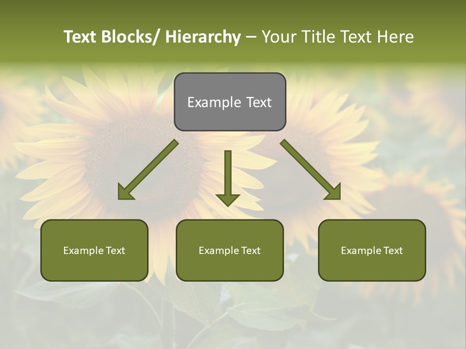 Pasion De Febrero Literatura PowerPoint Template