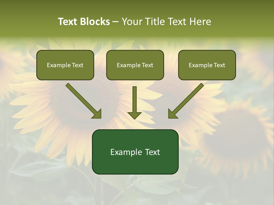 Pasion De Febrero Literatura PowerPoint Template