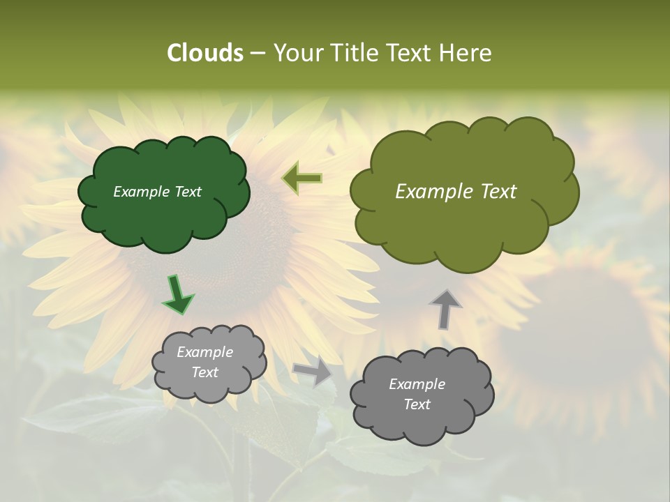 Pasion De Febrero Literatura PowerPoint Template