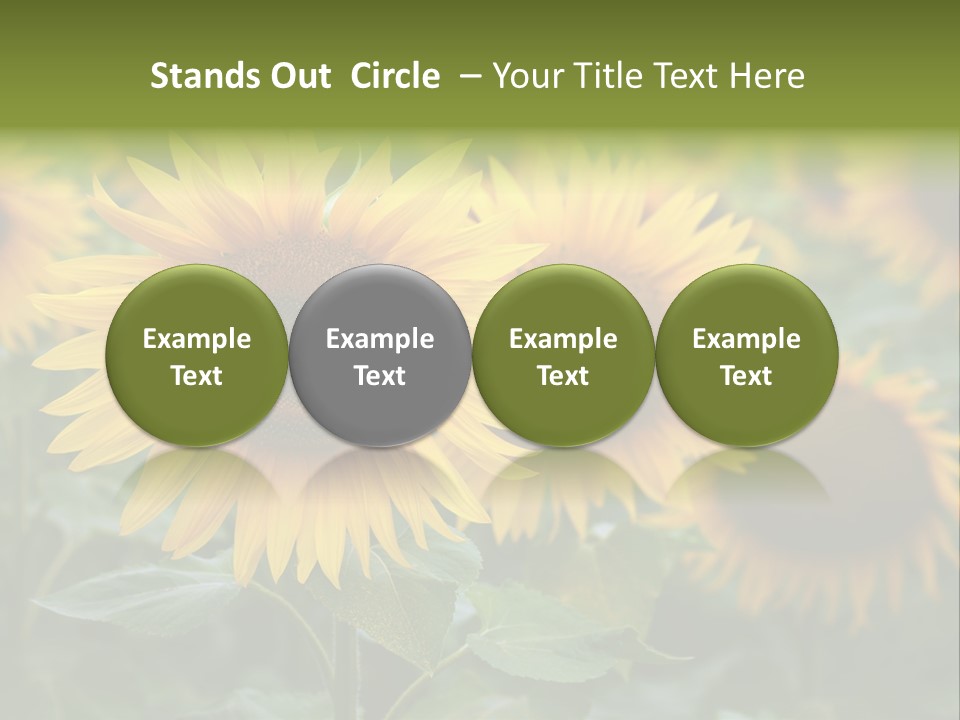 Pasion De Febrero Literatura PowerPoint Template