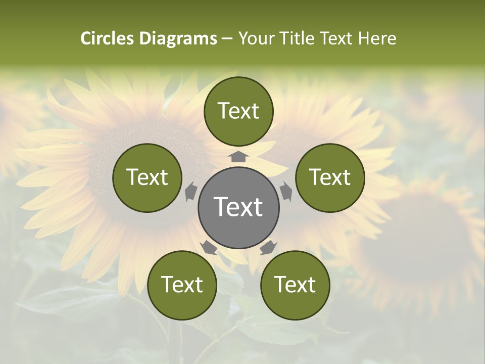 Pasion De Febrero Literatura PowerPoint Template