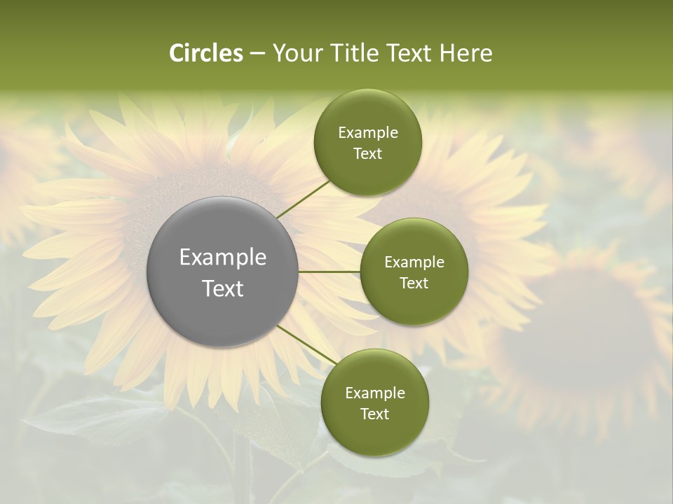 Pasion De Febrero Literatura PowerPoint Template