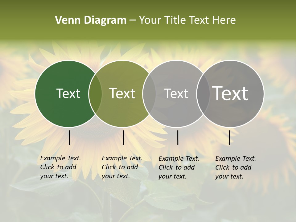 Pasion De Febrero Literatura PowerPoint Template