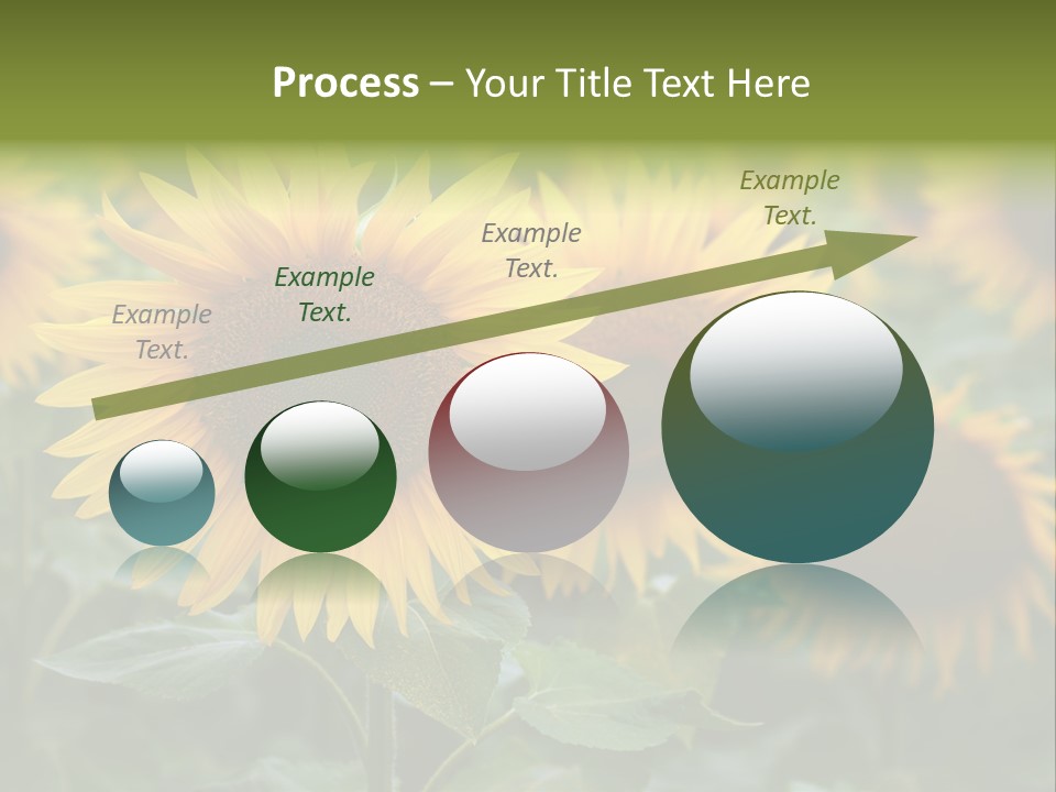 Pasion De Febrero Literatura PowerPoint Template