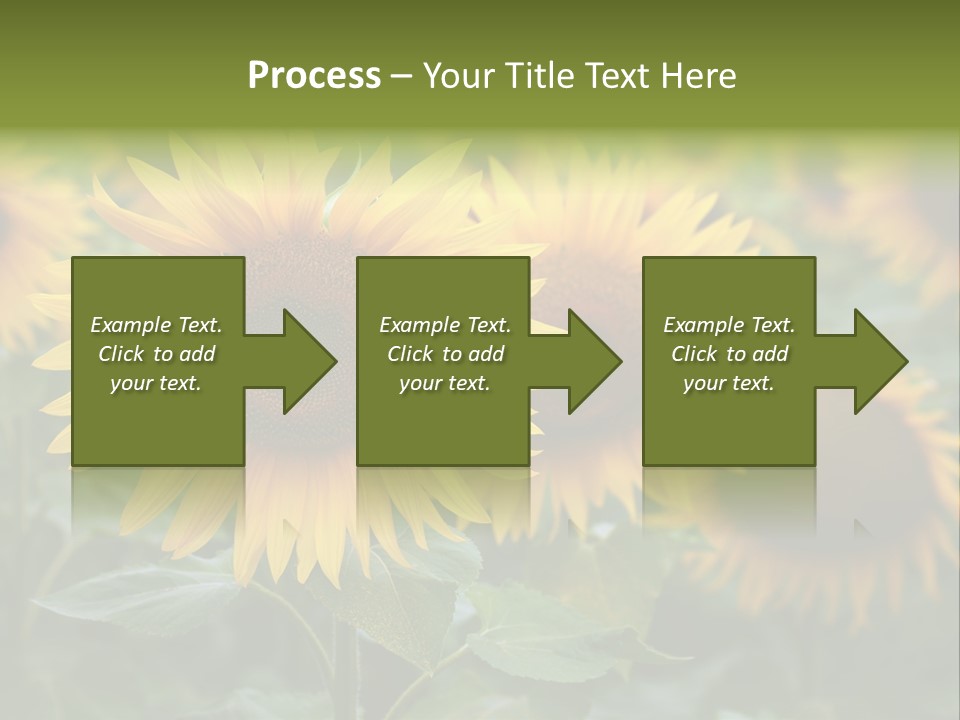 Pasion De Febrero Literatura PowerPoint Template