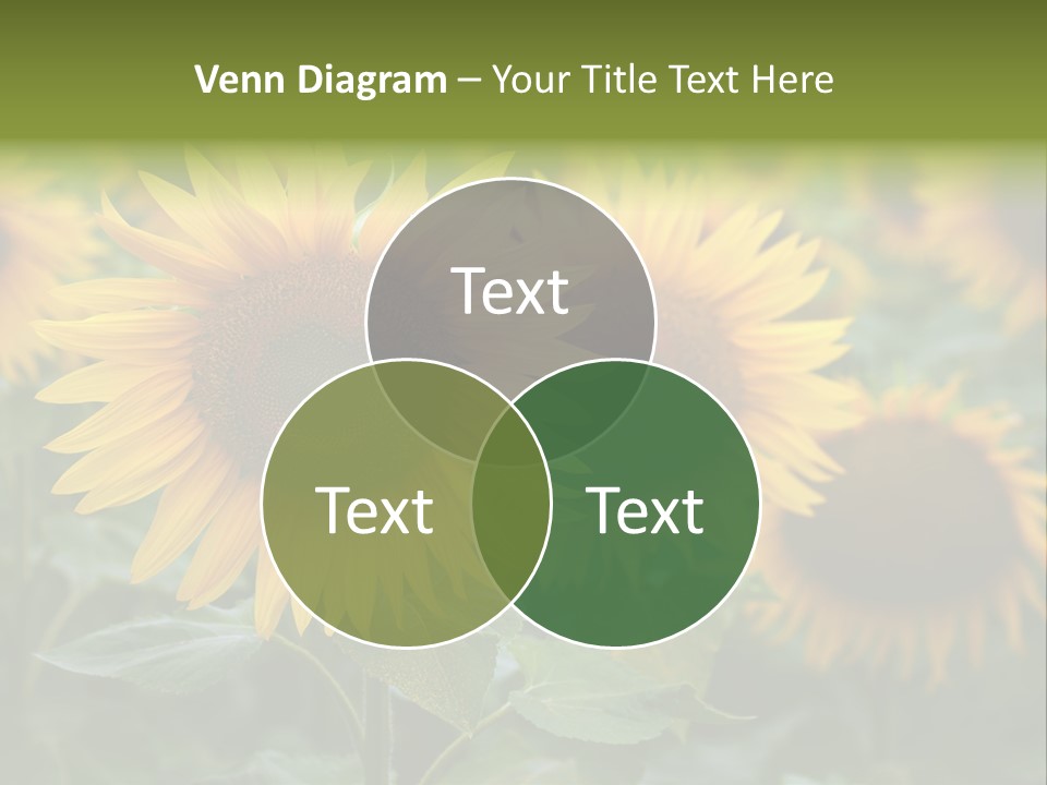 Pasion De Febrero Literatura PowerPoint Template