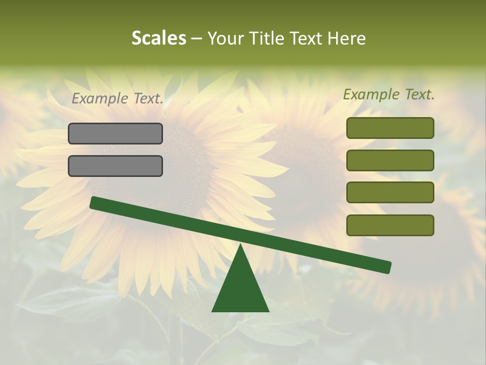 Pasion De Febrero Literatura PowerPoint Template