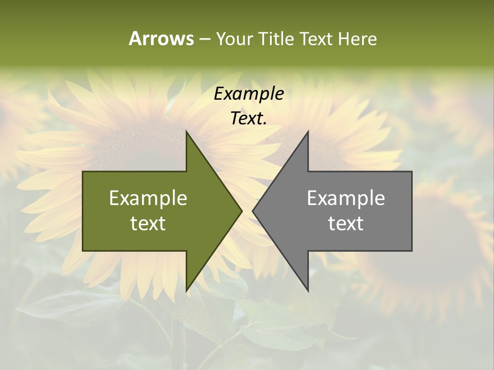 Pasion De Febrero Literatura PowerPoint Template