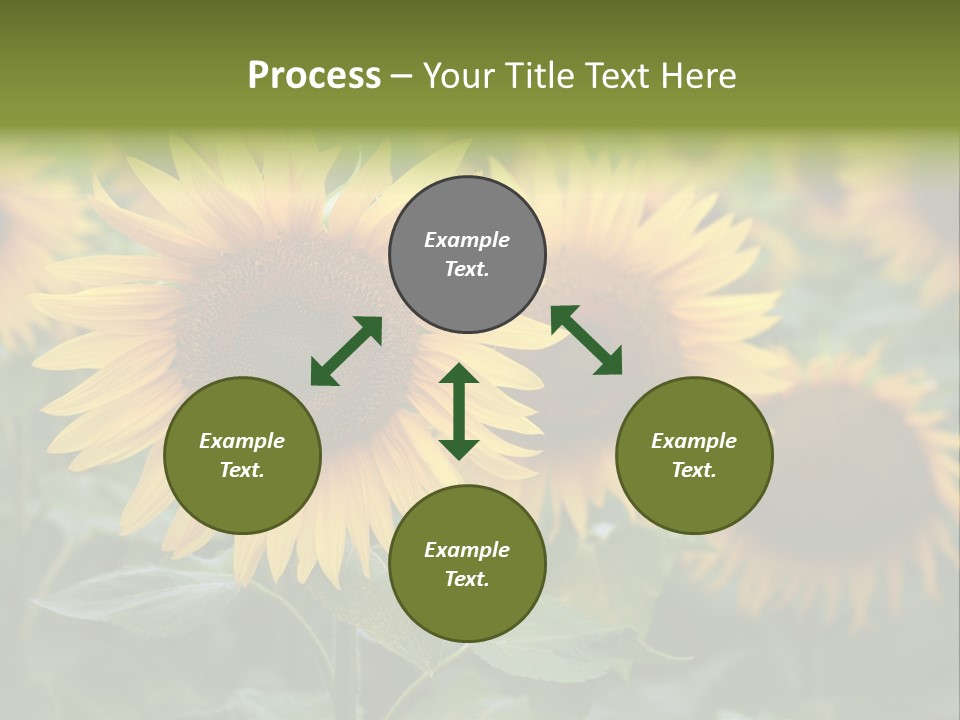 Pasion De Febrero Literatura PowerPoint Template