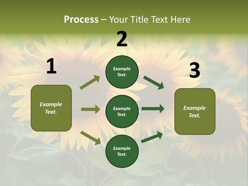 Pasion De Febrero Literatura PowerPoint Template