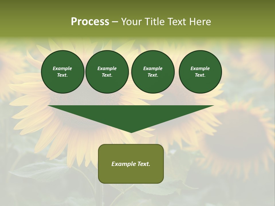 Pasion De Febrero Literatura PowerPoint Template