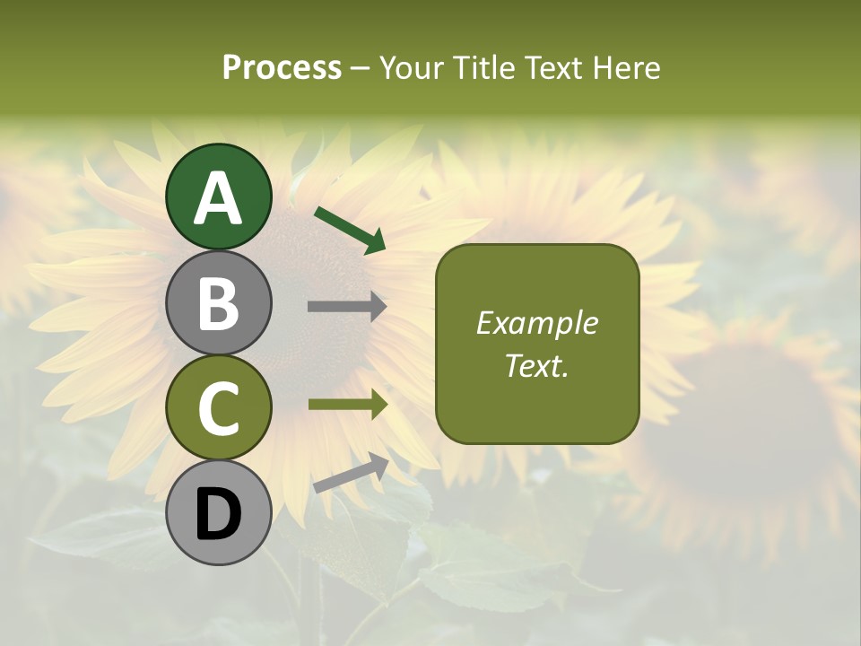Pasion De Febrero Literatura PowerPoint Template