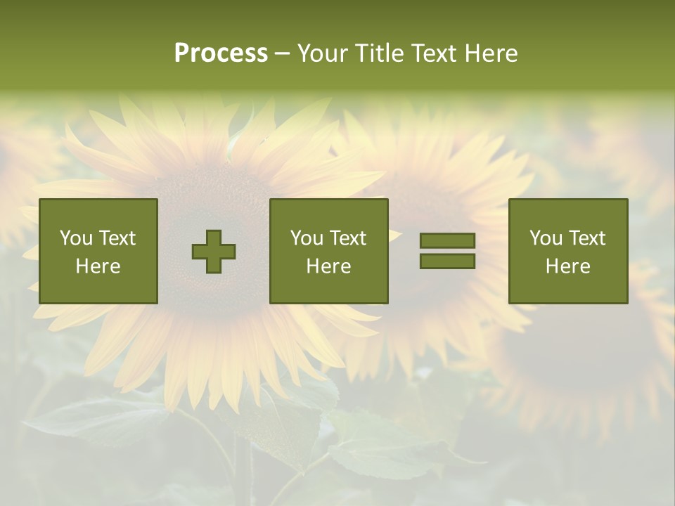 Pasion De Febrero Literatura PowerPoint Template