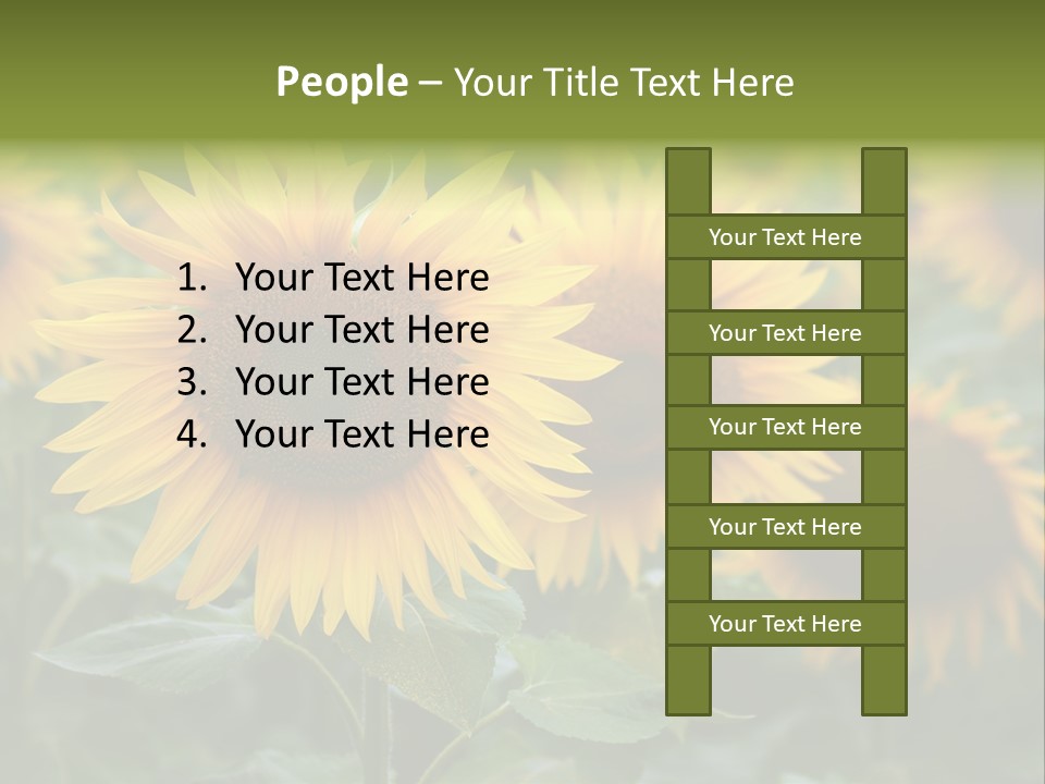 Pasion De Febrero Literatura PowerPoint Template