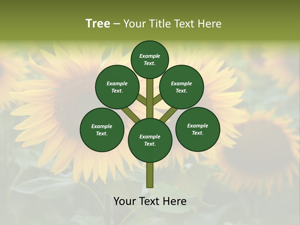 Pasion De Febrero Literatura PowerPoint Template