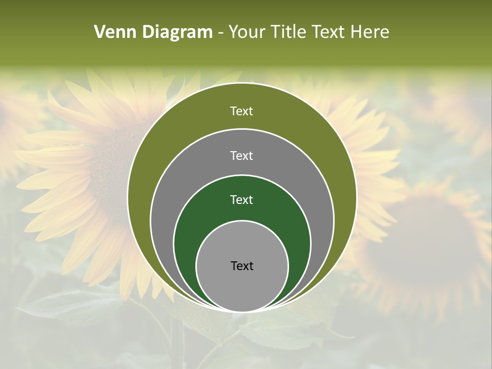 Pasion De Febrero Literatura PowerPoint Template