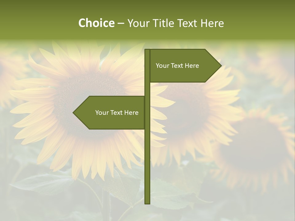 Pasion De Febrero Literatura PowerPoint Template