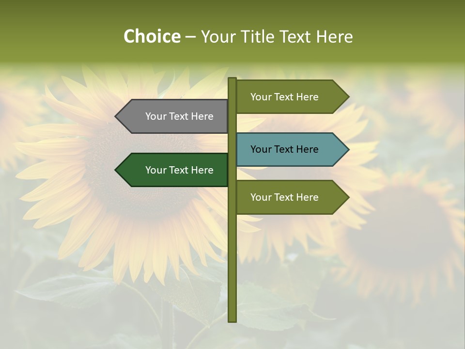 Pasion De Febrero Literatura PowerPoint Template