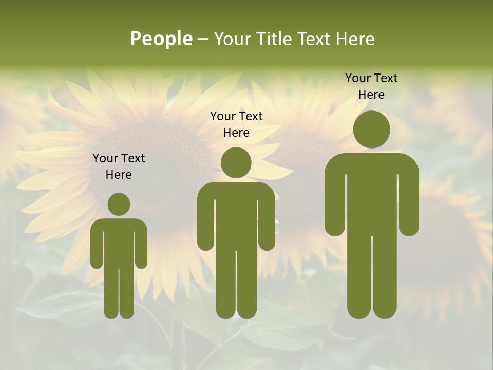 Pasion De Febrero Literatura PowerPoint Template