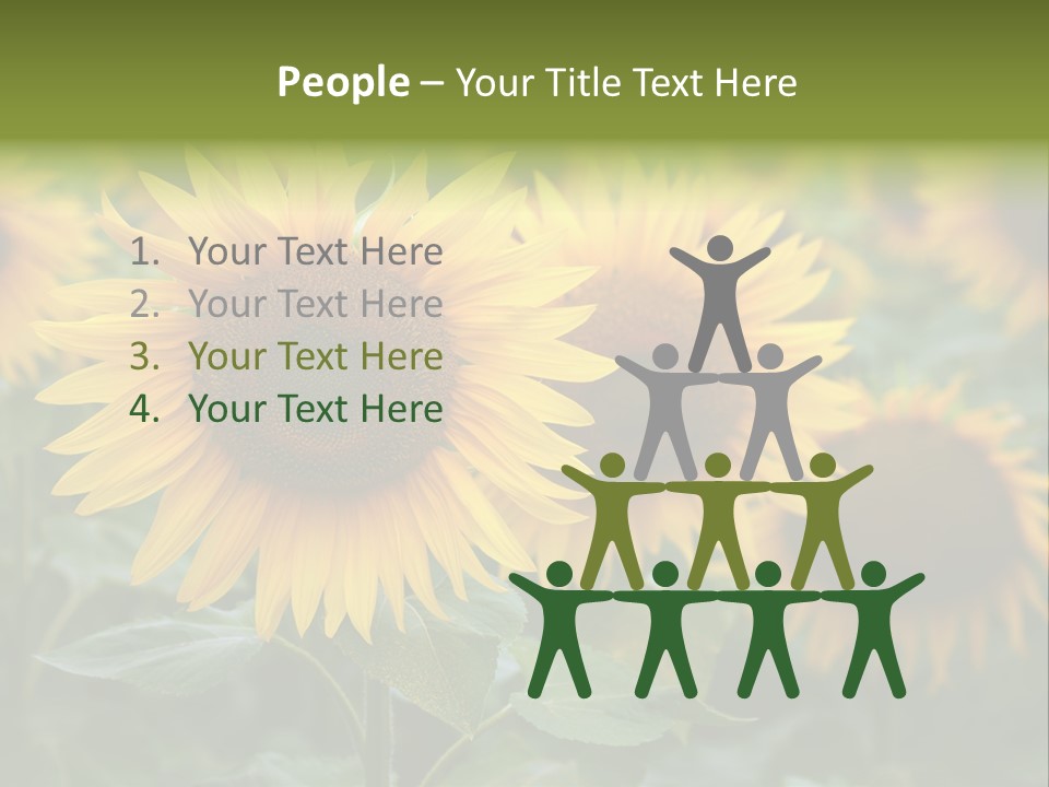 Pasion De Febrero Literatura PowerPoint Template