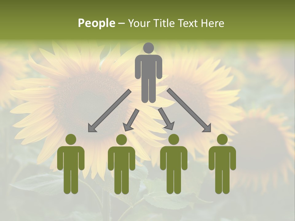 Pasion De Febrero Literatura PowerPoint Template