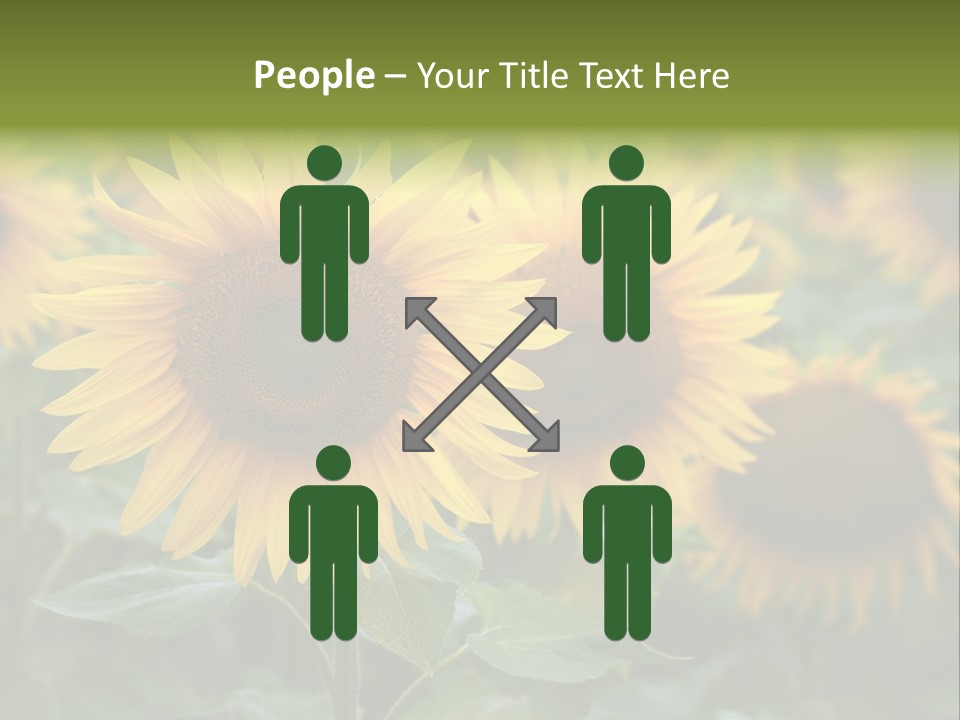 Pasion De Febrero Literatura PowerPoint Template