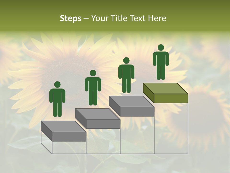 Pasion De Febrero Literatura PowerPoint Template