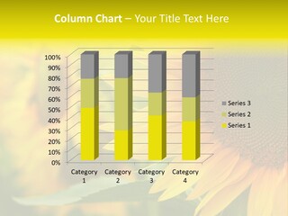 Blooming Floral Background PowerPoint Template