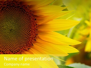 Flower Pretty Natural PowerPoint Template