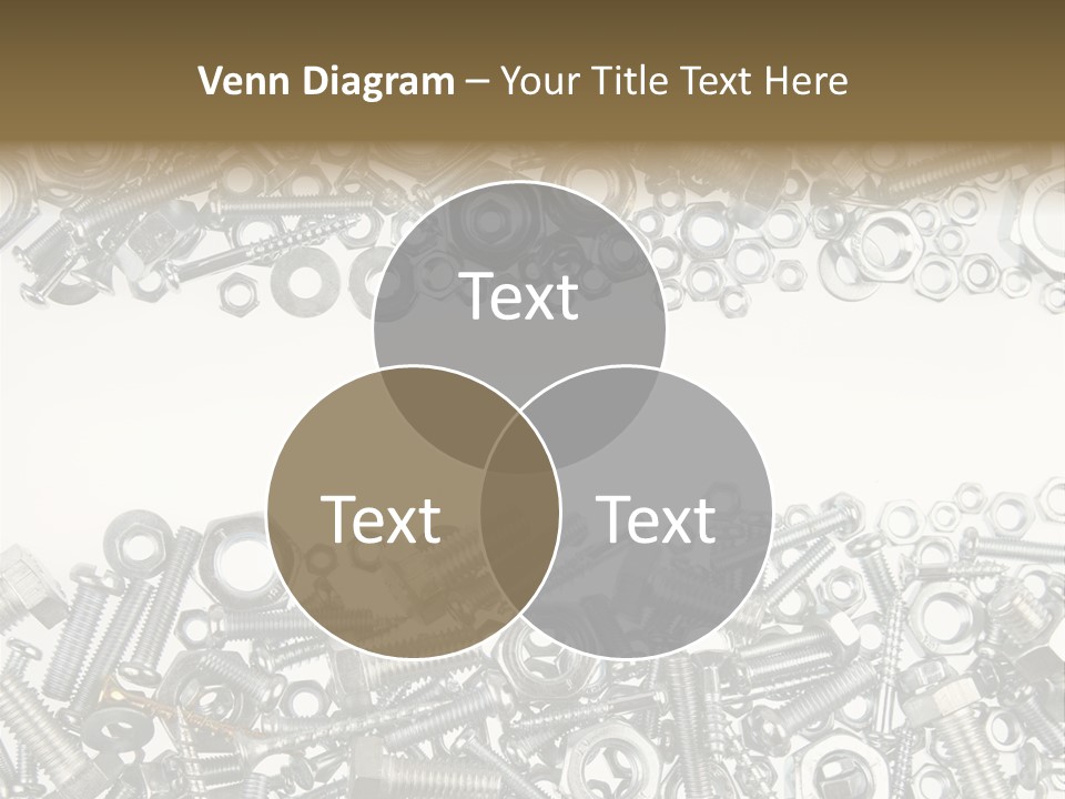 Shiny Nut Many PowerPoint Template