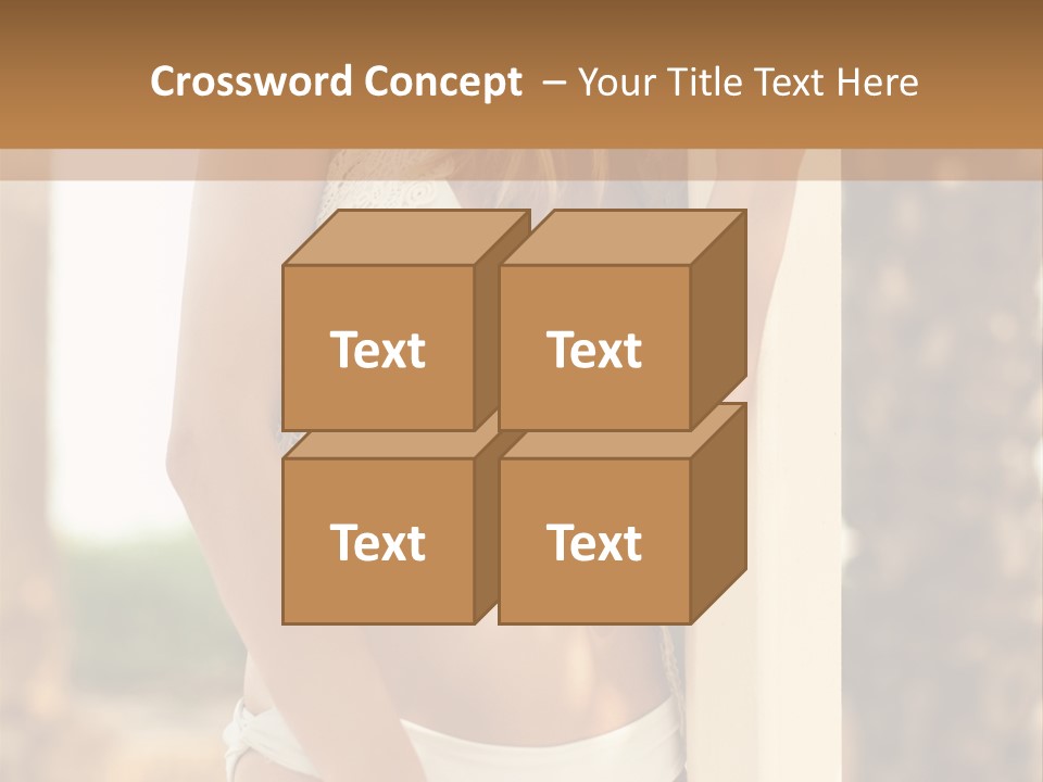 Floor Dark Lingerie PowerPoint Template